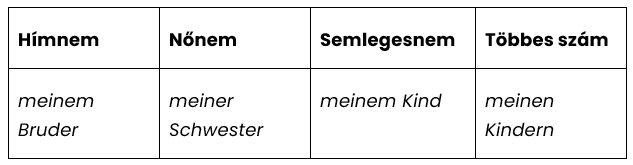 A mein jelzői birtokos névmás alakjai Dativ esetben